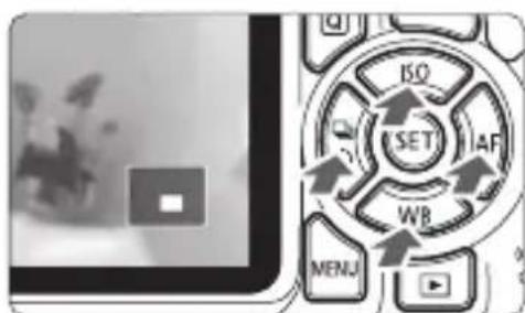 CANON EOS Rebel T7 - Magnify the image. - 2