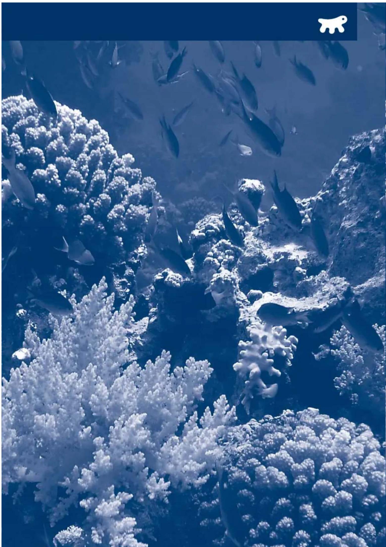 Ferplast Dubai 80 Beech - WAZNE - 2