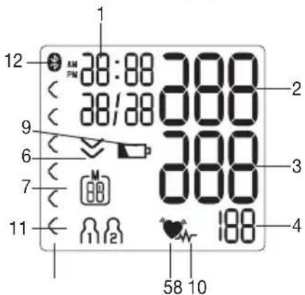 SANITAS SBM 37 - Information on the display: - 1