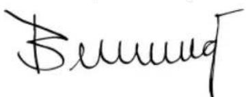 Meister Craft BWS 500 C - EG-Konformitätserklarung - 1