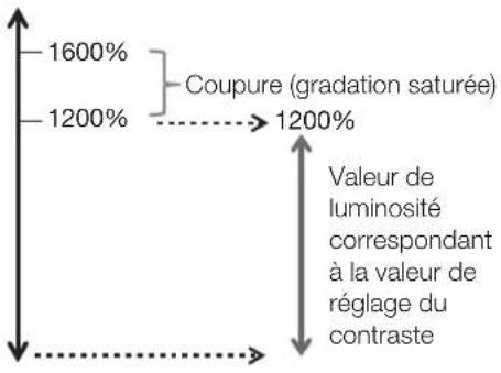 CANON DPV2420 - Écran « Setting » - 5