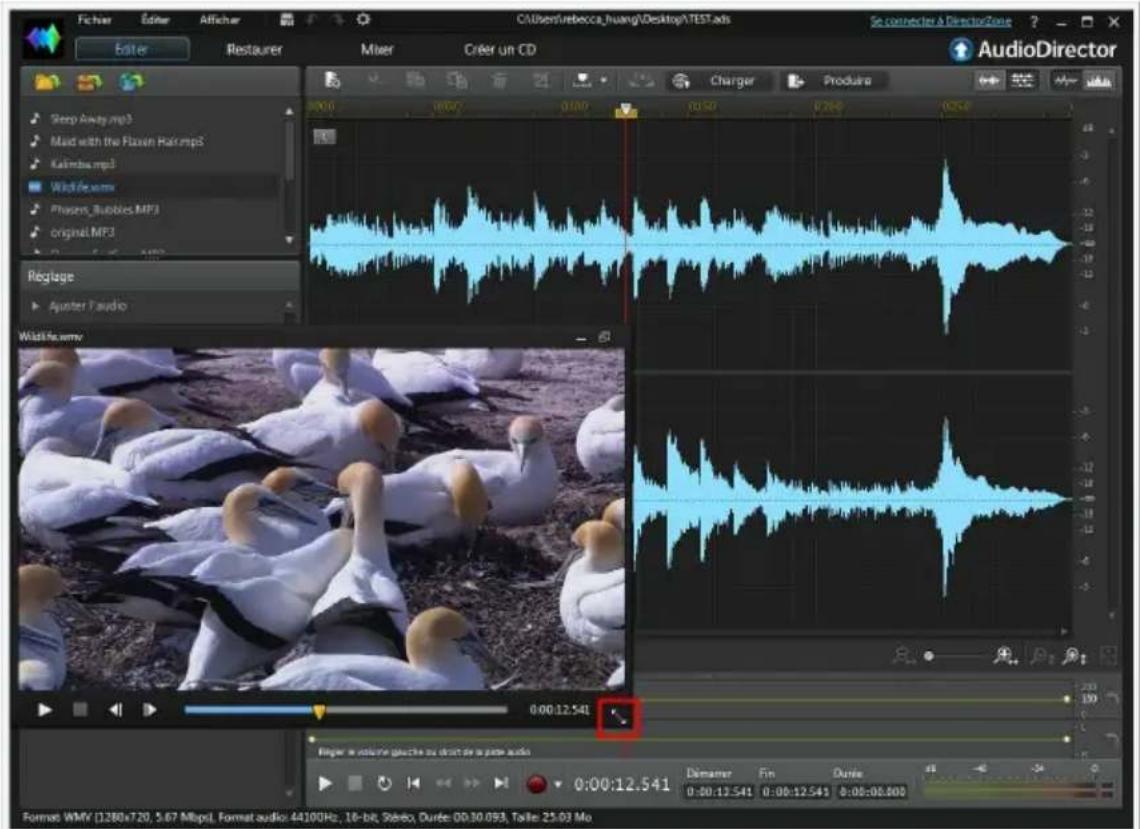 CYBERLINK AudioDirector 4 - Lecture de fichiers video - 3
