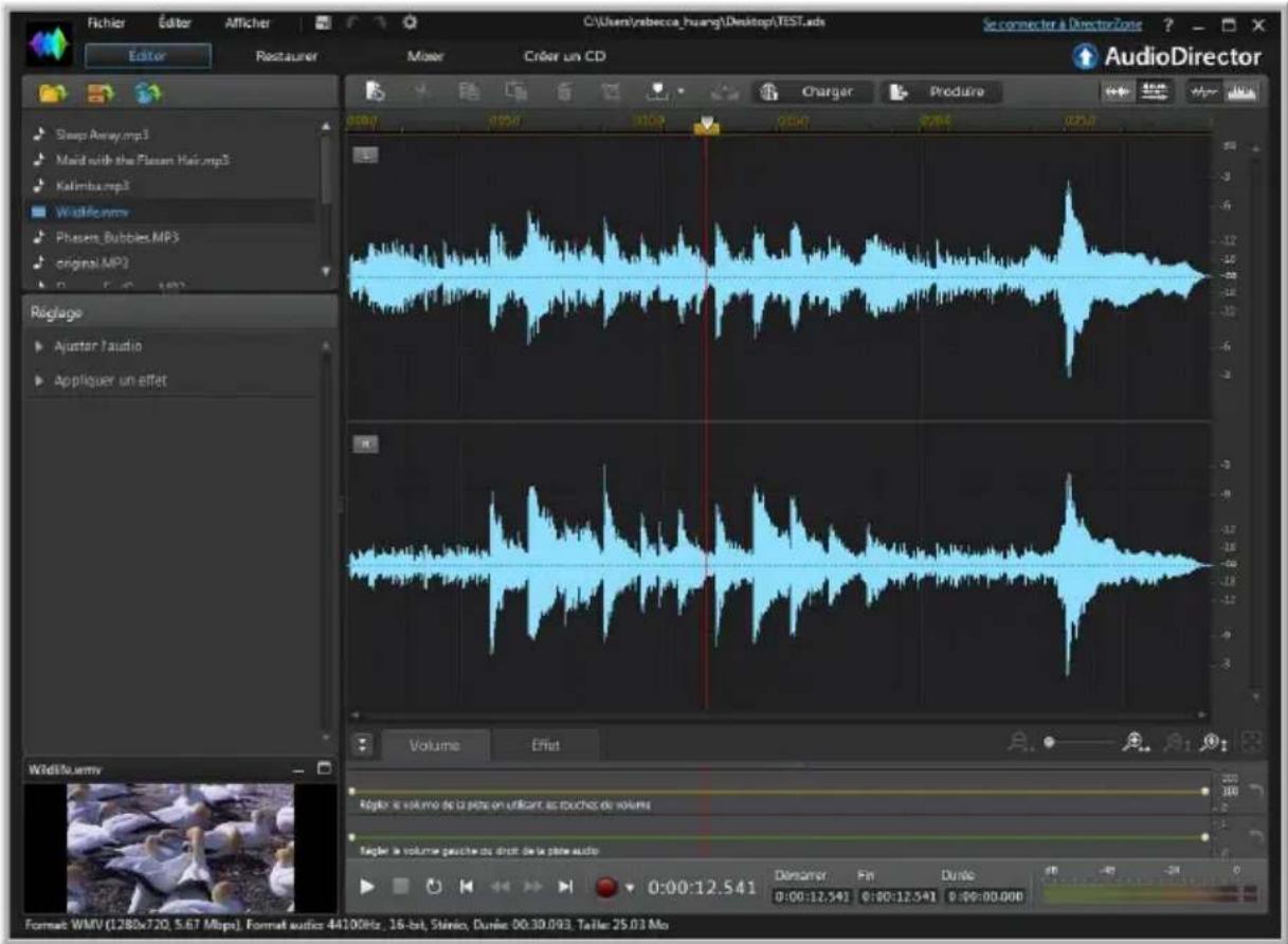 CYBERLINK AudioDirector 4 - Lecture de fichiers video - 1