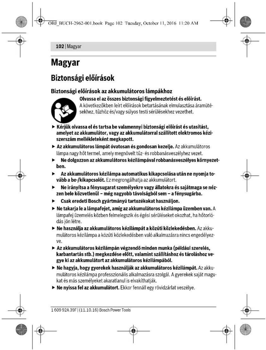 BOSCH GLI 12V300 Professional - Slovensky | 97 - 15
