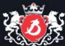 de Buyer La Mandoline Ultra - PRECAUZIONI - 3