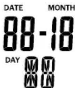AURIOL IAN 291528 - The date panel 3 - 1