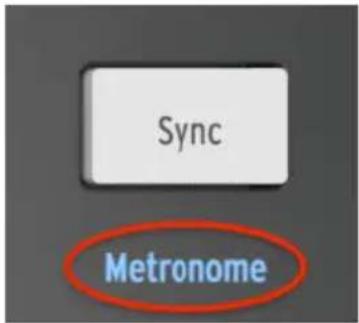 Arturia MiniBrute 2 - Métronome (Shift + Sync) - 1