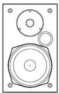 POLK T15 - 1
