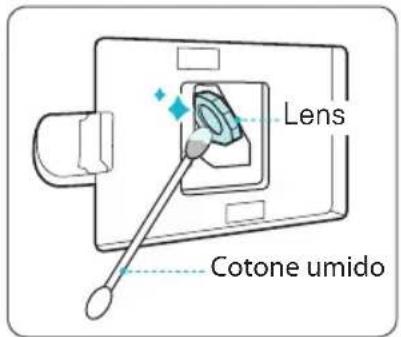Lens Cotone umido