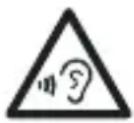 BEYERDYNAMIC Amiron Wireless - Осторожно: - 1