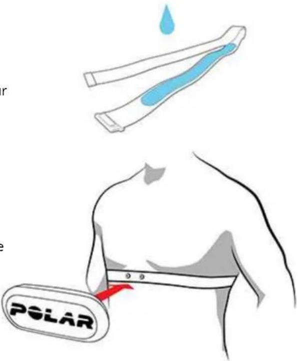POLAR M460 - METTRE L'ÉMETTEUR DE FRÉQUENCE CARDIAQUE EN PLACE - 1