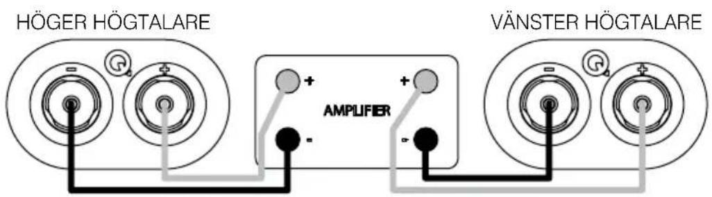 Q-ACOUSTICS 3020i - Standardkontakter - 1