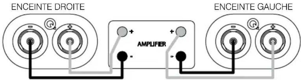 Q-ACOUSTICS 3020i - Connexions standard - 1