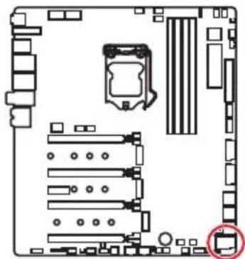 MSI MEG Z390 Godlike - U2_1: Pa3bem U.2 - 1