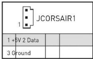 MSI MEG Z390 Godlike - JCORSAIR1: Pa3bem CORSAIR - 2