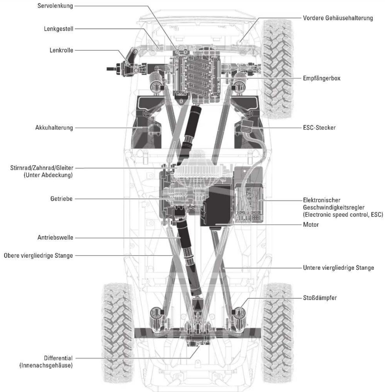 Axial WRAITH 1.9 - PACKUNGsinHALT - 8