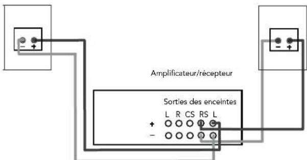 DEFINITIVE TECHNOLOGY SR9080 - Brancher les enceintes - 5