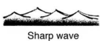 YAMAHA WaveRunner EX (2021) - Exercise 8: Crossing wakes and swells - 1