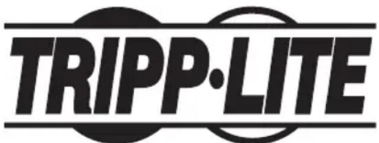 Tripp Lite PDU3XEVSR6G63B - WEEE Compliance Information for Tripp Lite Customers and Recyclers (European Union) - 2