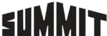 Summit MBH31 - Exclusion de garanties implicites - limitation des recours - 1