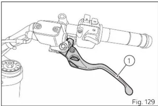 DUCATI 1100 Dark PRO (2021) - Remarques - 1