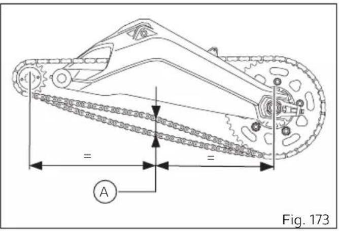 DUCATI 1100 Dark PRO (2021) - Important - 1