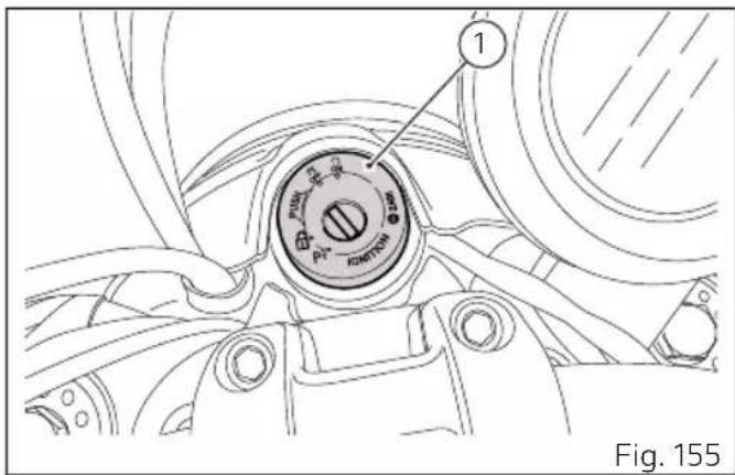 DUCATI 1100 Dark PRO (2021) - Important - 1