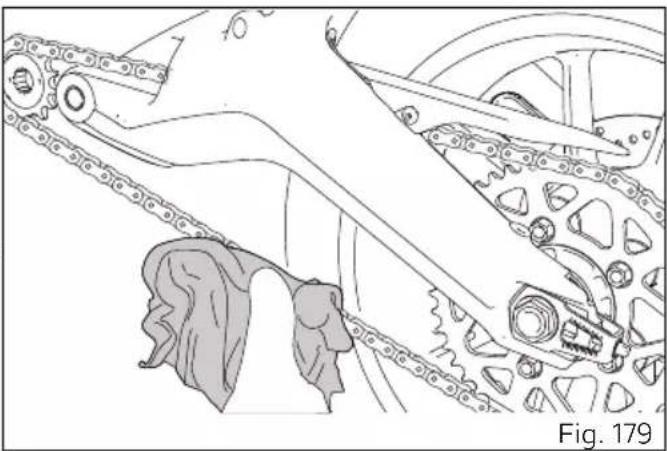 DUCATI 1100 Dark PRO (2021) - Important - 1