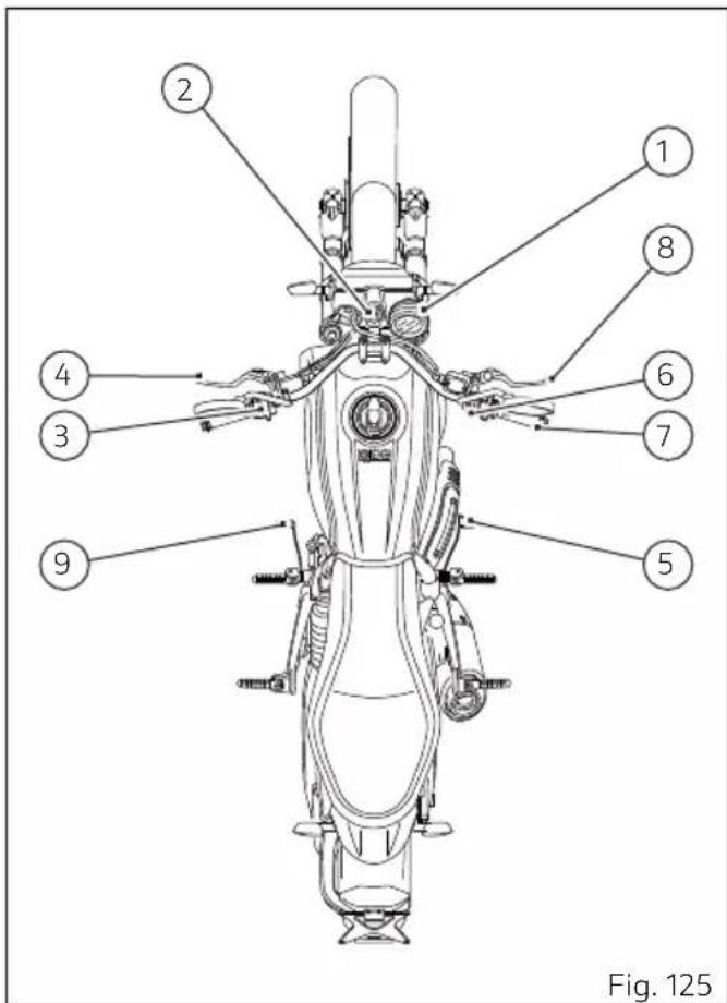 DUCATI 1100 Dark PRO (2021) - Attention - 1