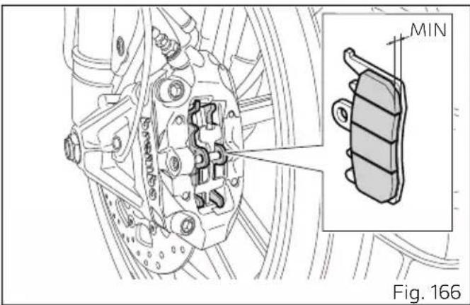 DUCATI 1100 Dark PRO (2021) - Important - 1