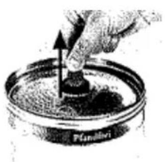 H.KOENIG BW1880 - BEER KEG SEALANT - 6