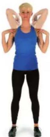Capital Sports Evo Race - Take about 5 minutes to do the following CapitalSports training routine: - 2
