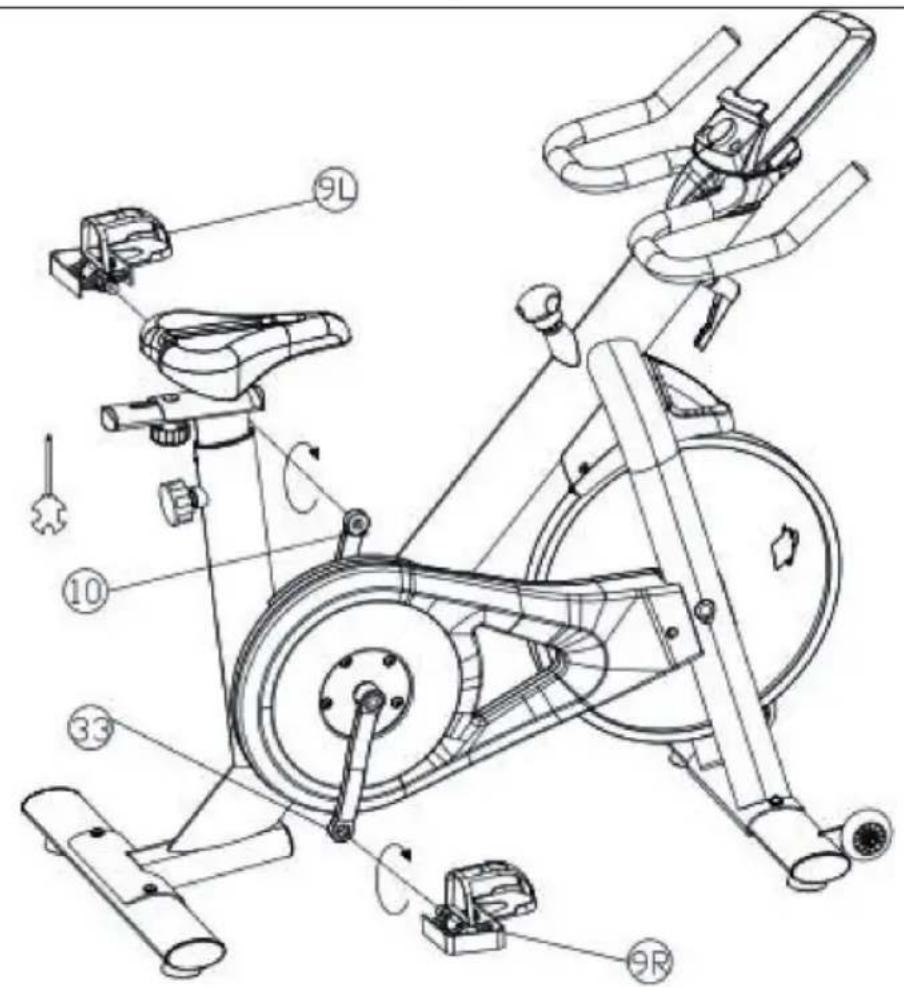 Capital Sports Evo Race - ASSEMBLAGE - 6