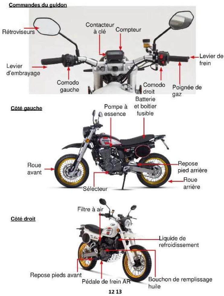Mash XRide 125cc (2022) - III - Emplacement des pieces - 1