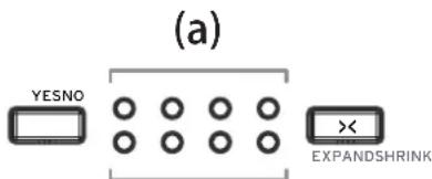 KORG Drumlogue - Modifier le nombre de mesures et de pas (bouton SHRINK, bouton EXPAND) - 1