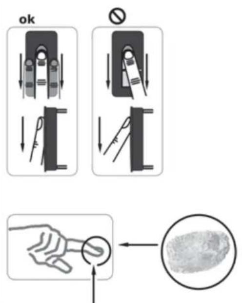 Vimar ELVOX 12A2 - Operating the fingerprint scanner - 3
