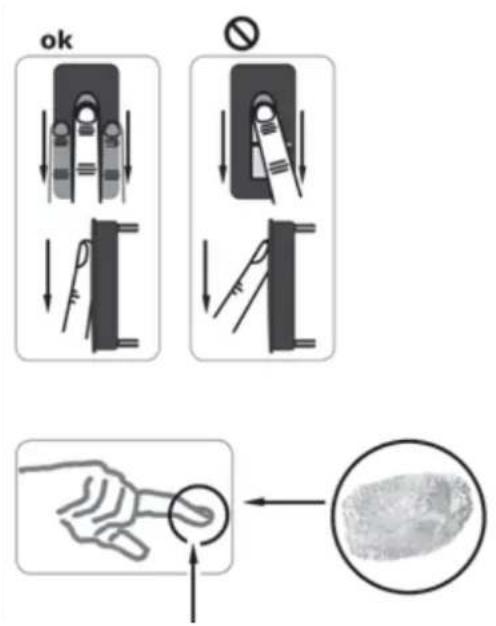 Vimar ELVOX 12A2 - Operating the fingerprint scanner - 2