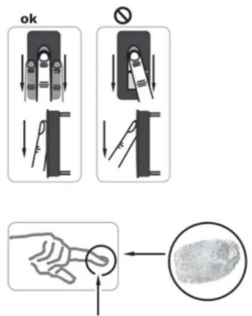 Vimar ELVOX 12A2 - Operating the fingerprint scanner - 1