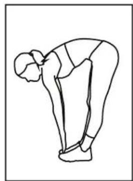 Bladez 200RW - FLEXIONS AVANT - 1