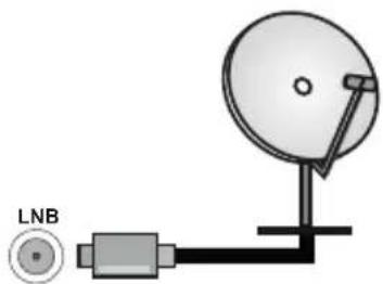 PANASONIC TX65MZ800E - Antenna Connection - 2