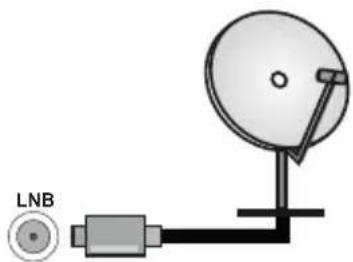 PANASONIC TX65MZ800E - Rückseite des TV-Gerätes - 1