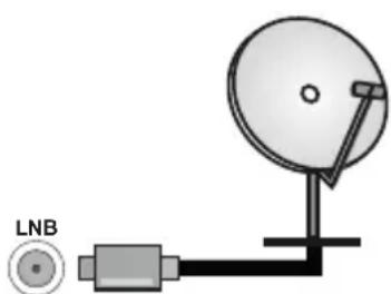 PANASONIC TX65MZ800E - Parte posterior de la TV - 1