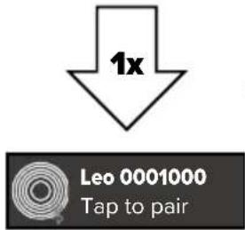 Astera Leo Fresnel - Connect light as BTB - 3