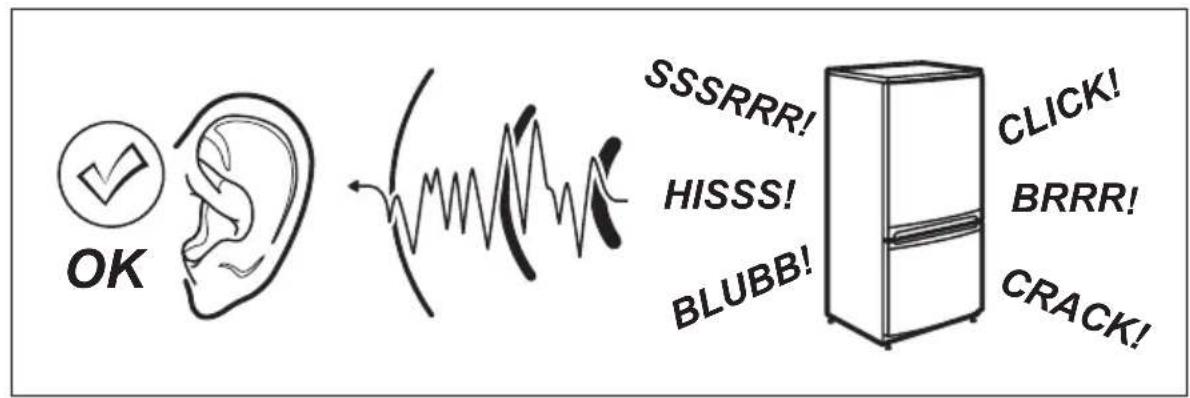 AEG RMB954E9VX - NOISES - 1