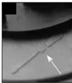 Fluval SP2 - UK: Rolf C. Hagen (UK) Ltd, Customer Service Department, - 7