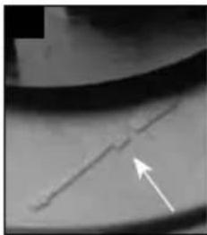 Fluval SP2 - Modell SP4/SP6 - 2