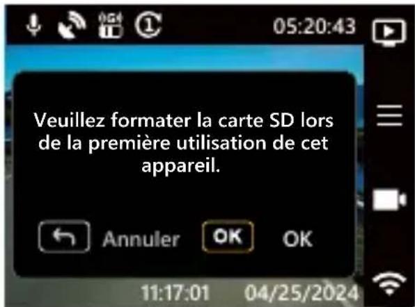 Veuillez formater la carte SD lors de la première utilisation de cet appareil.