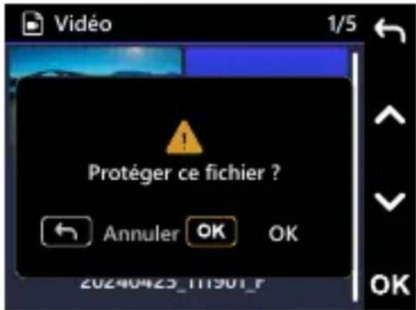 Protéger ce fichier ? Annuler OK OK 20240423_111901_F
