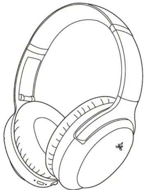 Avantree Aria Pro - Connexion à un équipement Bluetooth - 1