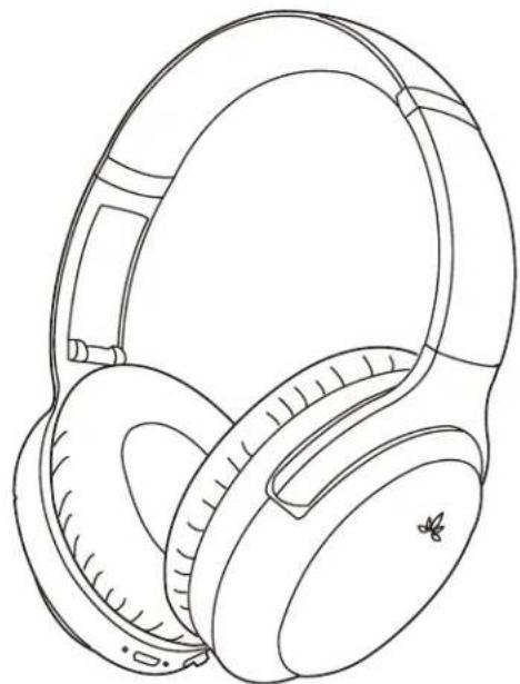 Avantree Aria Pro - Conectar a un dispositivo Bluetooth - 1